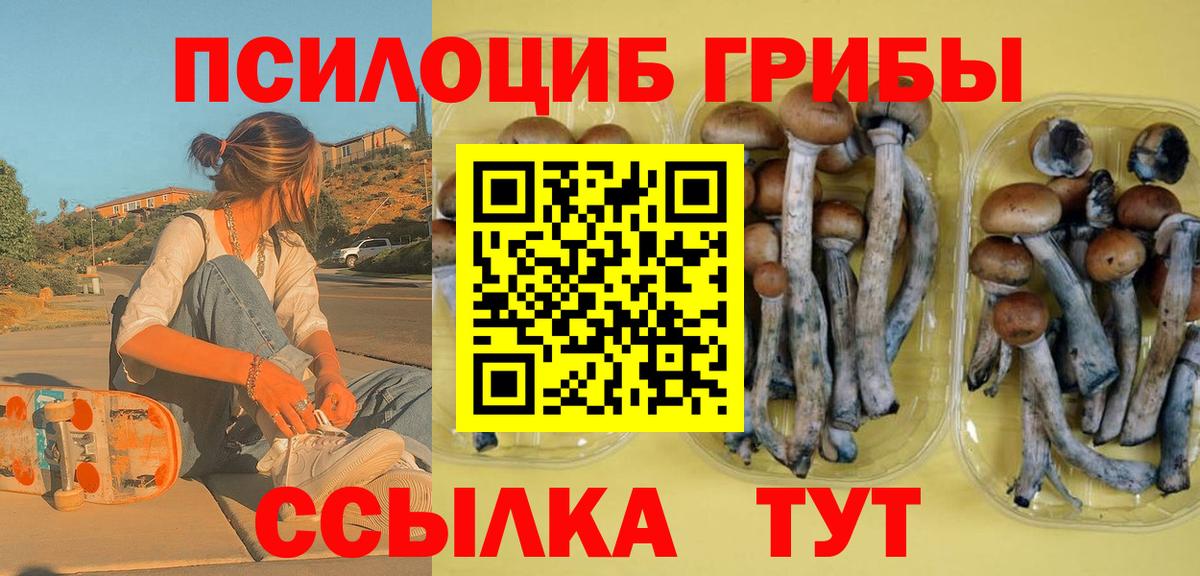 Псилоцибиновые грибы Psilocybine cubensis Люберцы